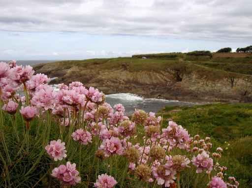 Finistere Pointe Saint-mathieu Wall Decal