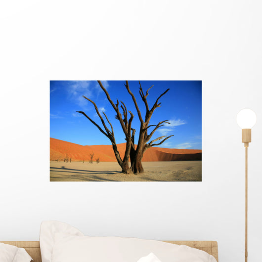 le site de sossusvlei en namibie Wall Mural