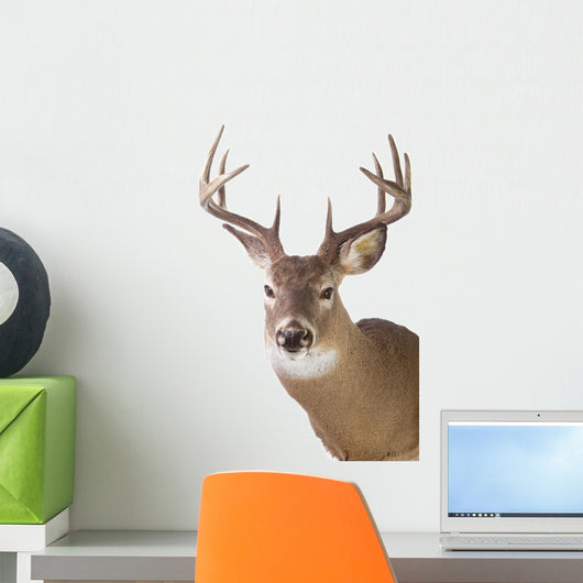 Large Whitetail Buck White Wall Decal Design 1