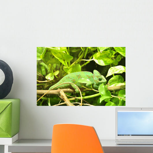Gecko Wall Mural
