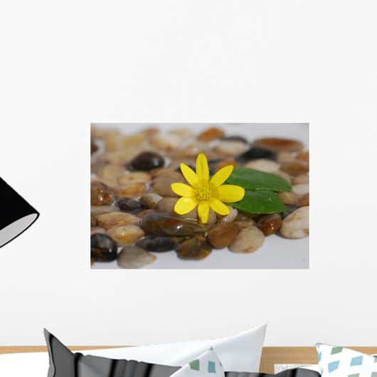 Feng Shui Wall Mural