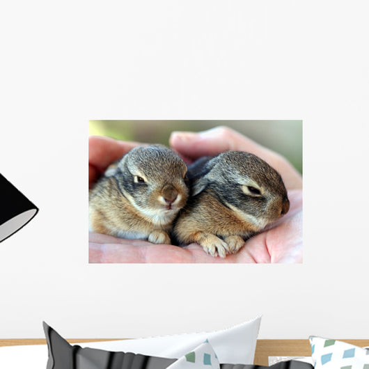 A Pair of Baby Cottontail Rabbits Rest in a Hand Wall Mural