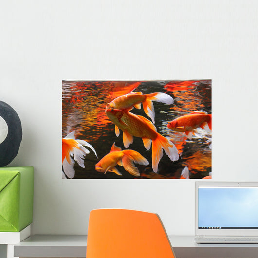 Golden Fishes Wall Mural