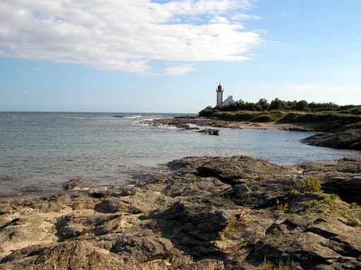 France Wall Decal Design 5