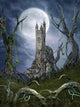Dark Fantasy Forest Wall Mural