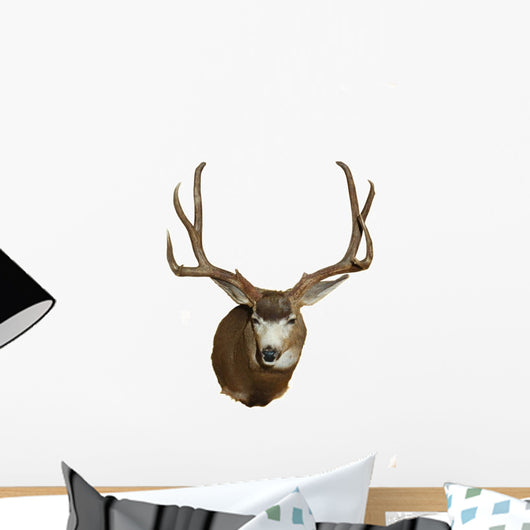 Mule Deer