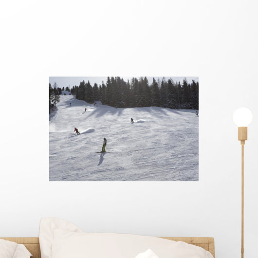 Skiers Enjoying Slopes Wall Mural