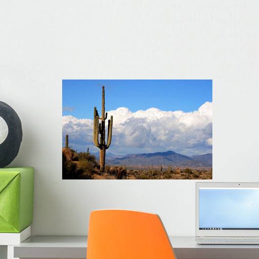 high desert with cactus,mountains and clouds Wall Mural