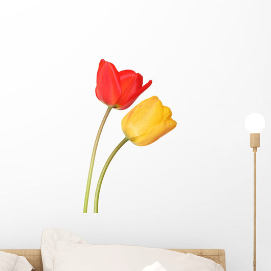 Two Tulips