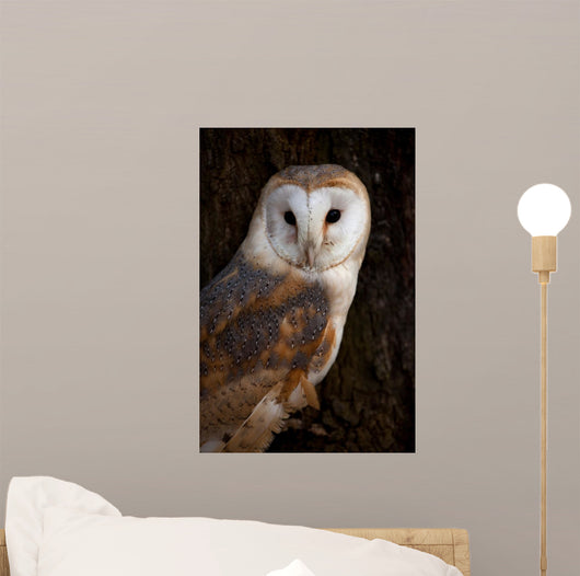 Barn Owl Tree