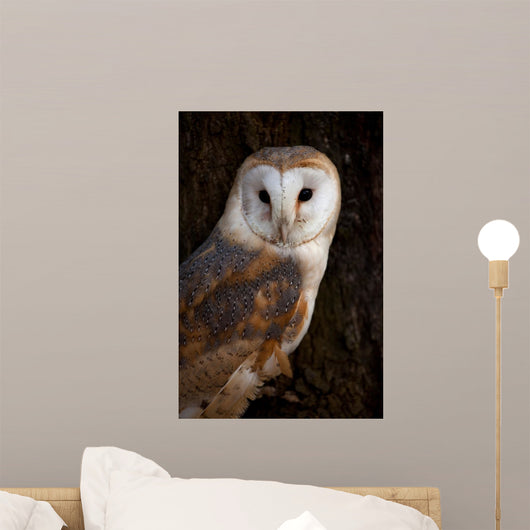 Barn Owl Tree