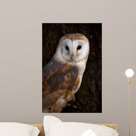 Barn Owl Tree