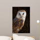 Barn Owl Tree