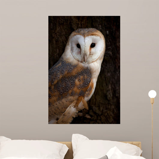 Barn Owl Tree