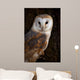 Barn Owl Tree