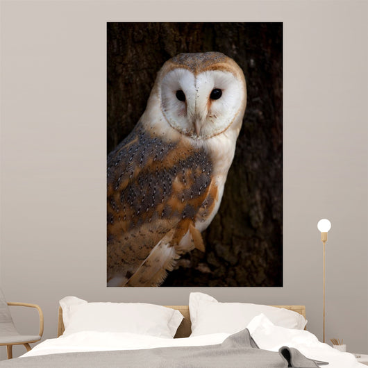 Barn Owl Tree