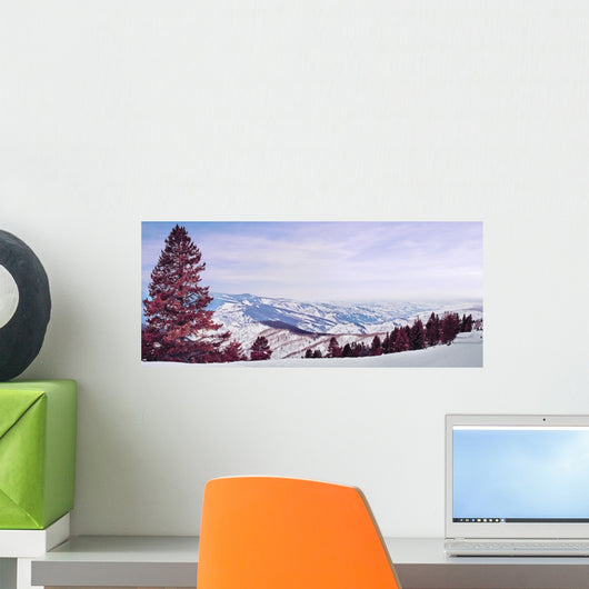 Red Pine Panorama