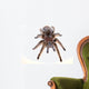 Chilean Rose Hair Tarantula Wall Decal