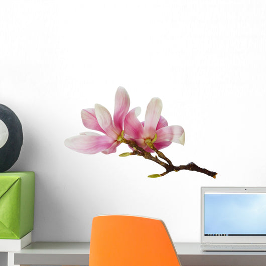 Magnolia Flowers