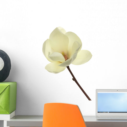 Magnolia heptapeta Wall Decal