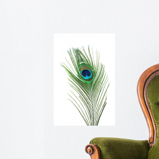Peacock Feather Wall Mural