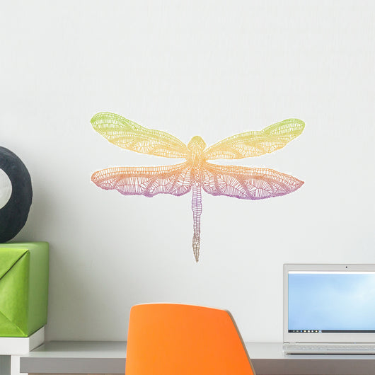 Colorful Dragonfly