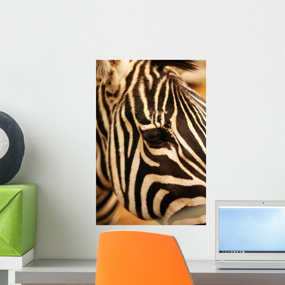 Zebra Wall Mural Wallmonkeys