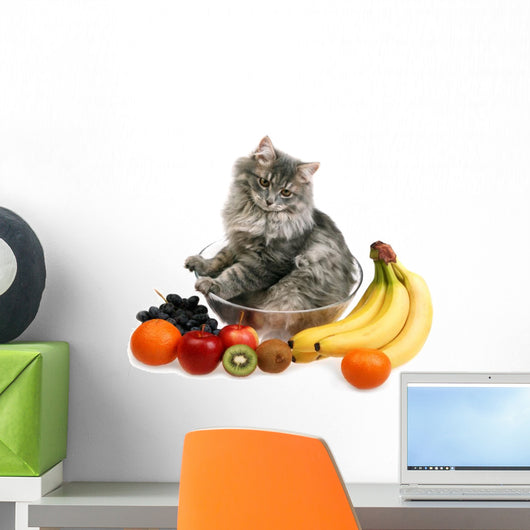 cat with fruit Wall Decal