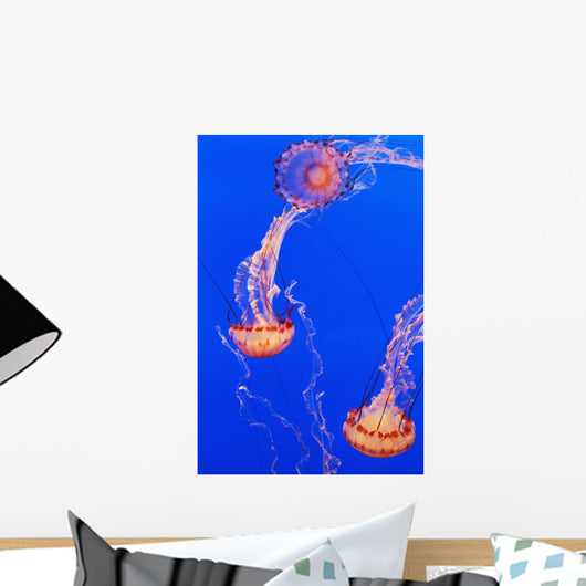 California Monterey Three Orange Wall Decal 2