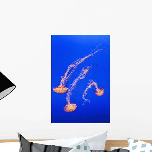 California Monterey Three Orange Wall Decal 1