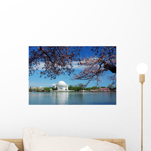 Cherry Blossom Washington DC Wall Mural