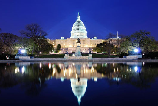 Washington Dc Capitol Wall Mural
