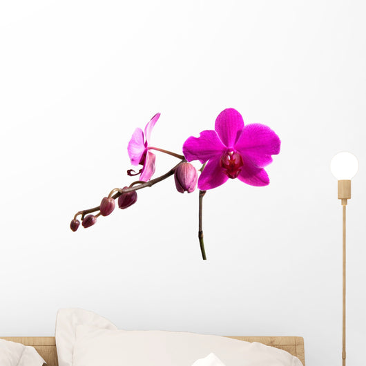Magenta Orchid Wall Decal