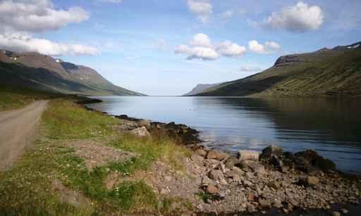 Mjoifjordur Wall Decal