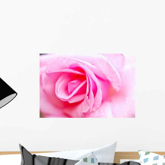 Pink Rose