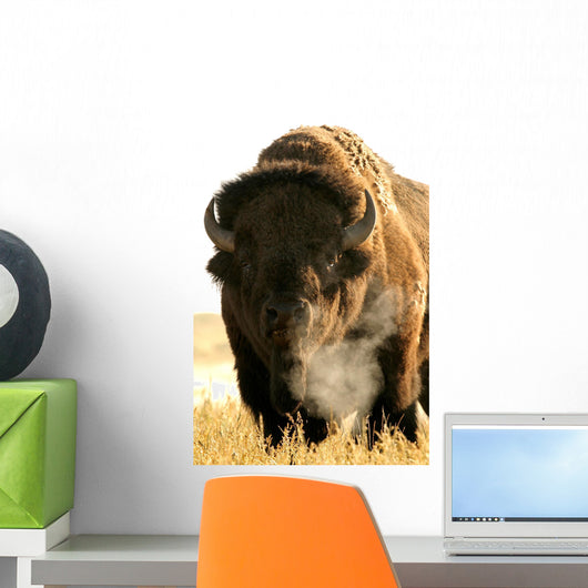 Bison Wall Mural