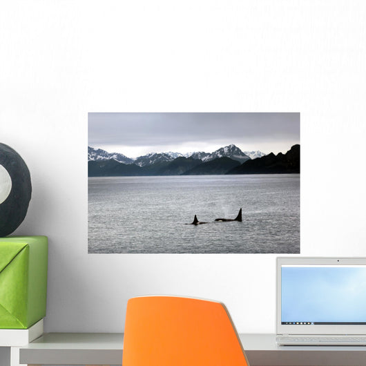 Orcas and mountain scene in Alaska Wall Mural