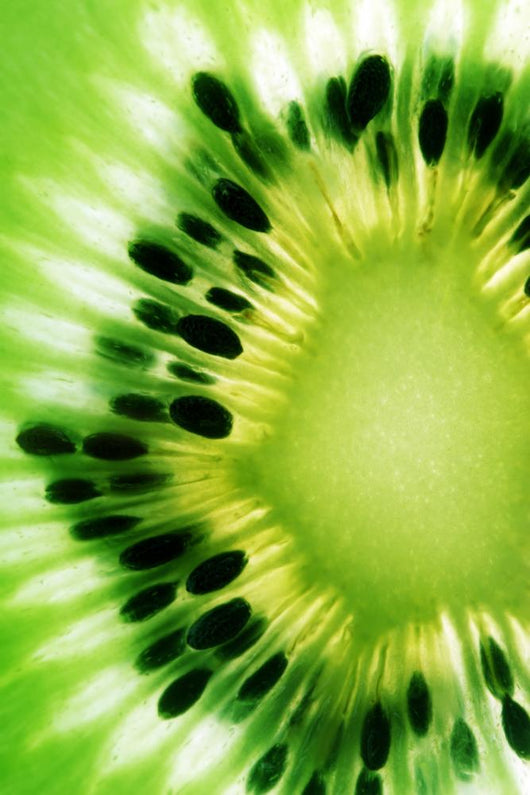 Kiwi Detail Wall Decal