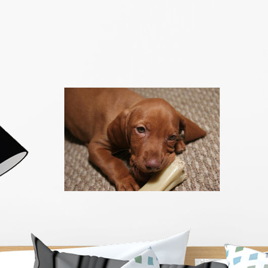 Cute Puppy Chew Bone Toy Wall Mural