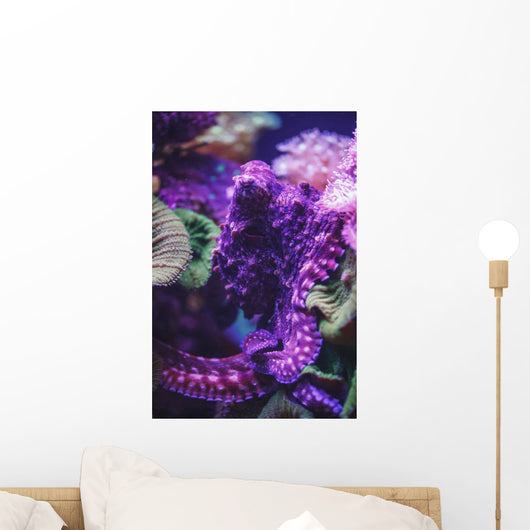 Purple octopus;Israel Wall Mural