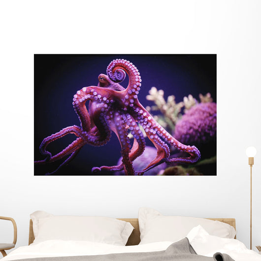 Octopus;Israel Wall Mural