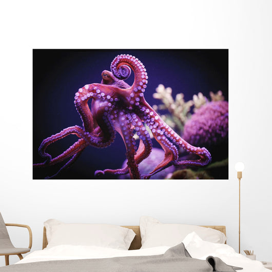 Octopus;Israel Wall Mural