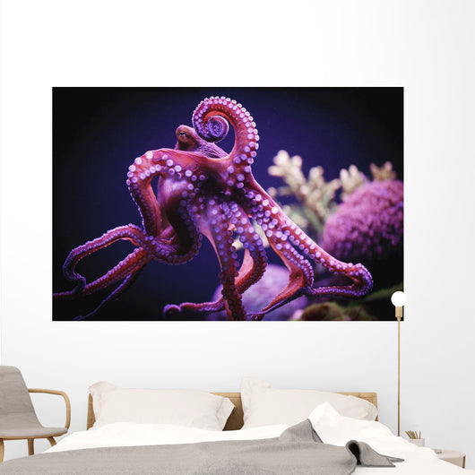 Octopus;Israel Wall Mural