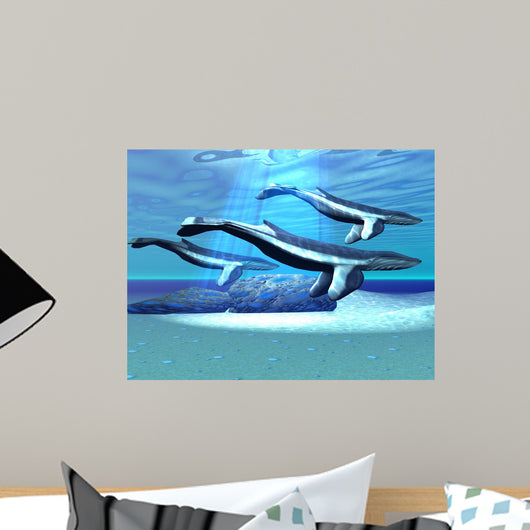 Blue Whale Sanctuary