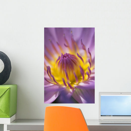 Macro Flower2