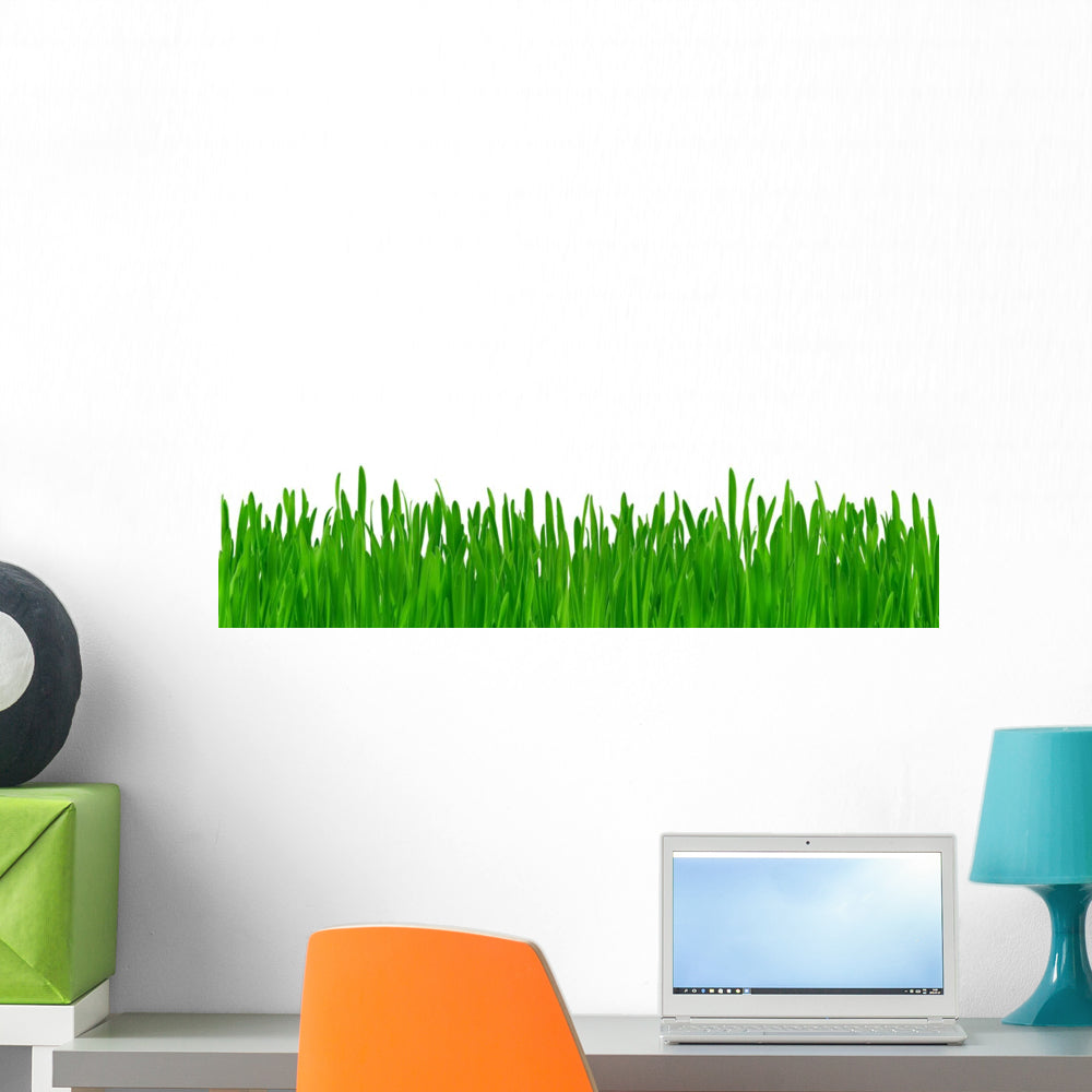 Grass Wall Mural Wallmonkeys