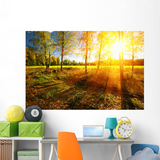 Beautiful landscape with summer forest and sunset Wall Mural