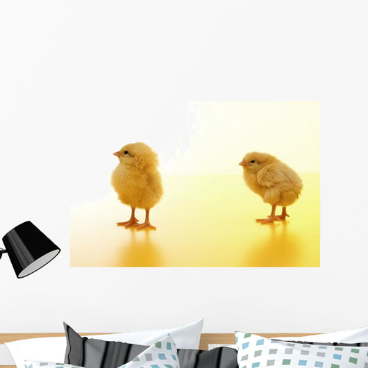 Chicken Wall Mural