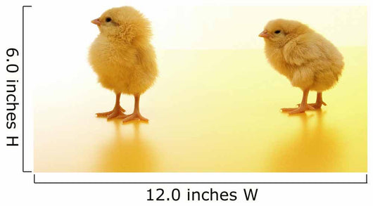Chicken Wall Mural