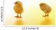 Chicken Wall Mural